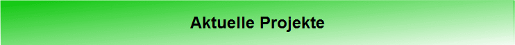 Aktuelle Projekte