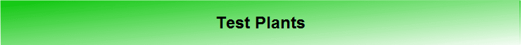 Test Plants