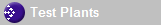 Test Plants